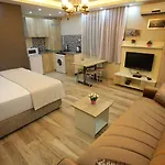 Artist イスタンブール