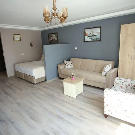 Artist اسطنبول